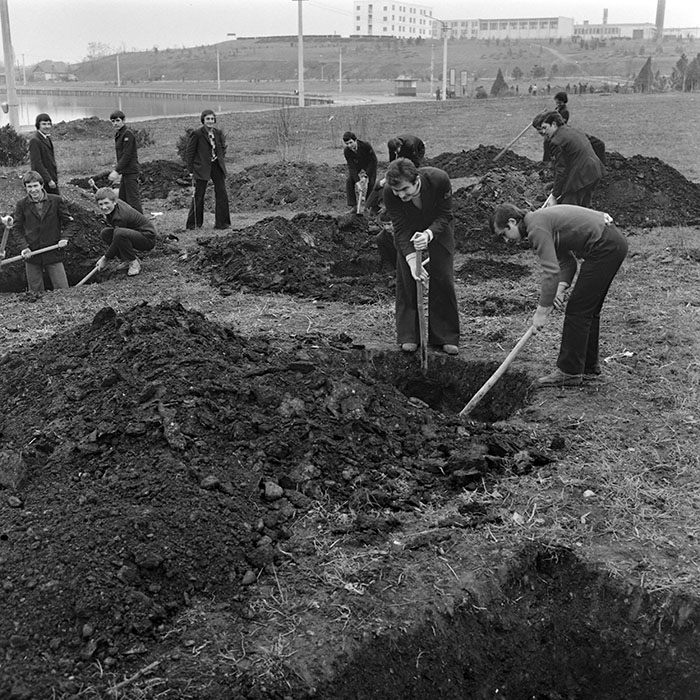 minerva_1978_c2_c4r4_012