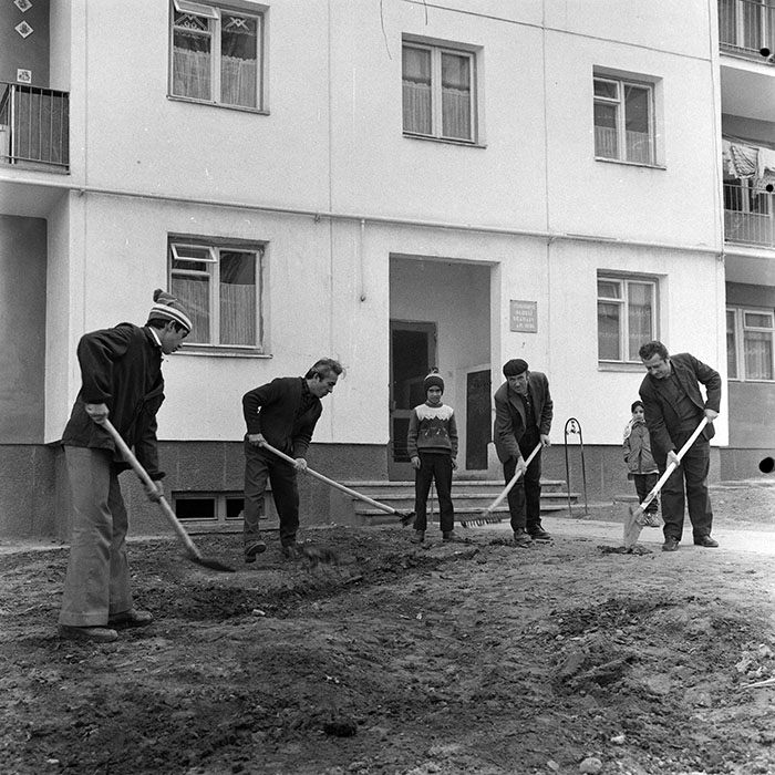 minerva_1978_c2_c4r4_013