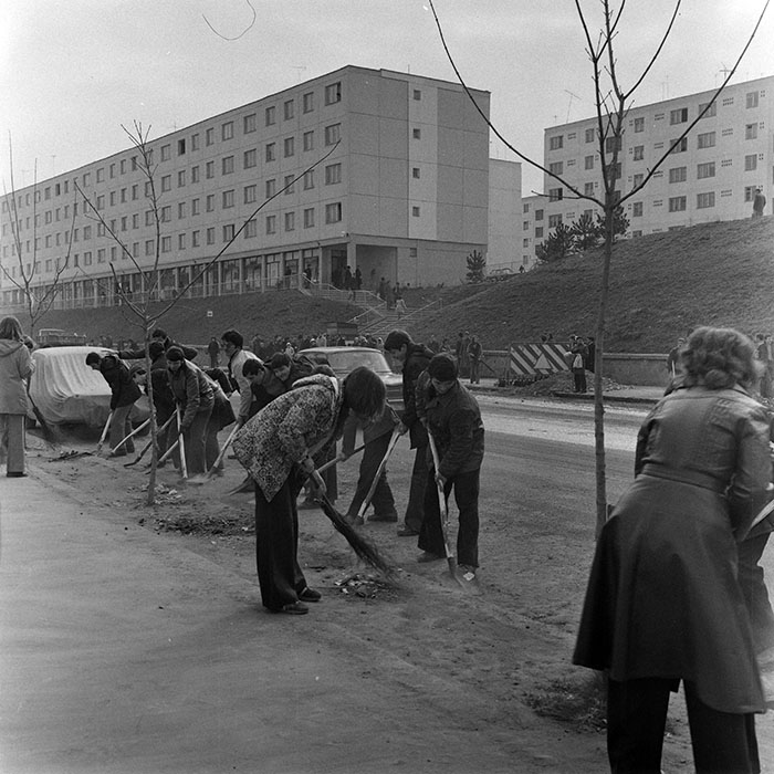 minerva_1978_c2_c4r4_016