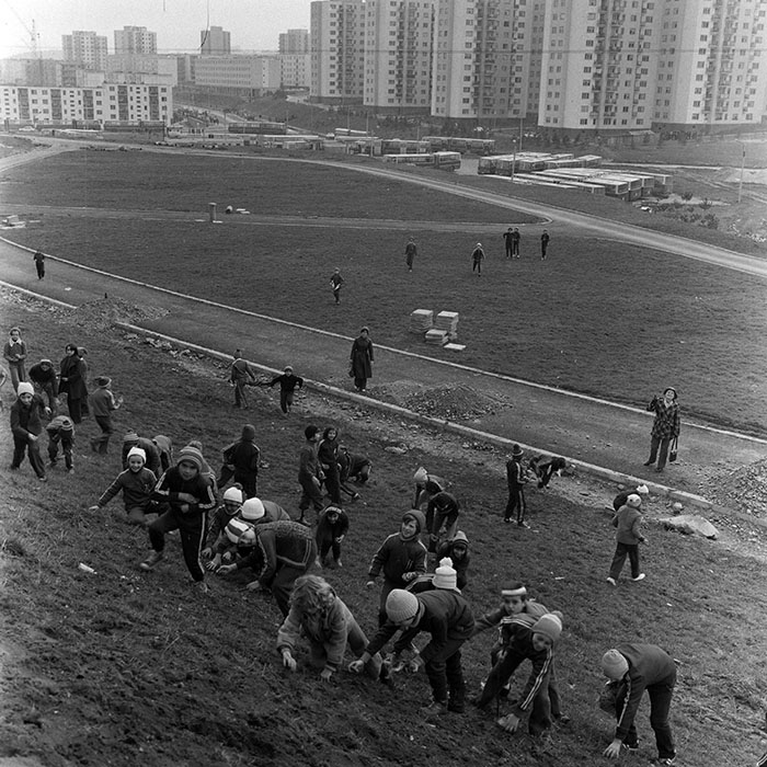 minerva_1978_c2_c4r4_018