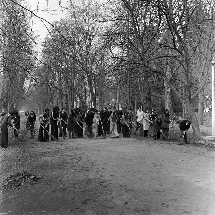 minerva_1978_c2_c4r4_019