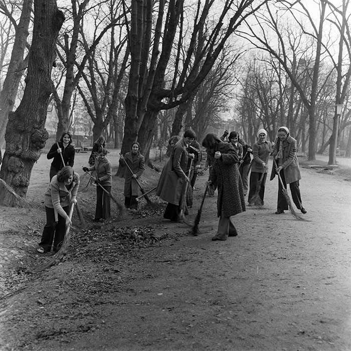 minerva_1978_c2_c4r4_020