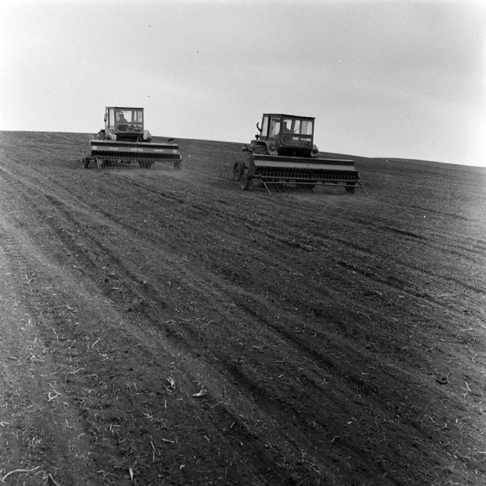 minerva_1978_c2_c4r4_022