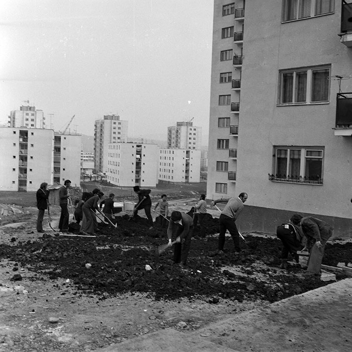 minerva_1978_c2_c4r4_029