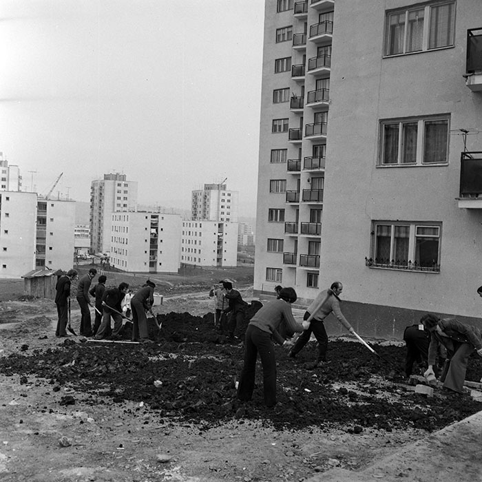 minerva_1978_c2_c4r4_030