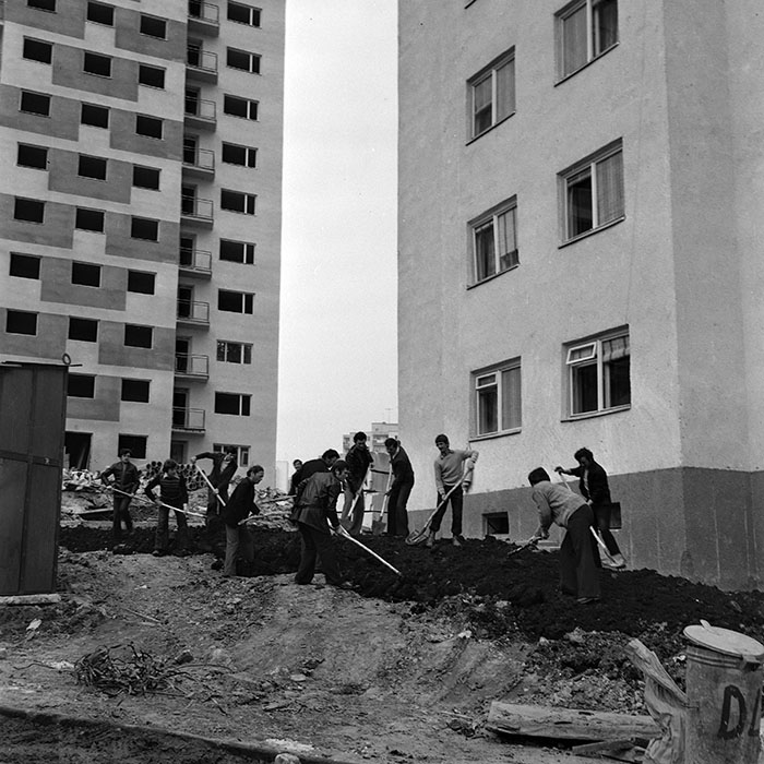 minerva_1978_c2_c4r4_035