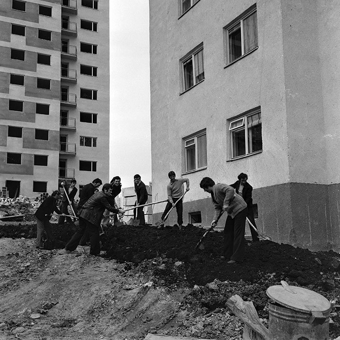 minerva_1978_c2_c4r4_036