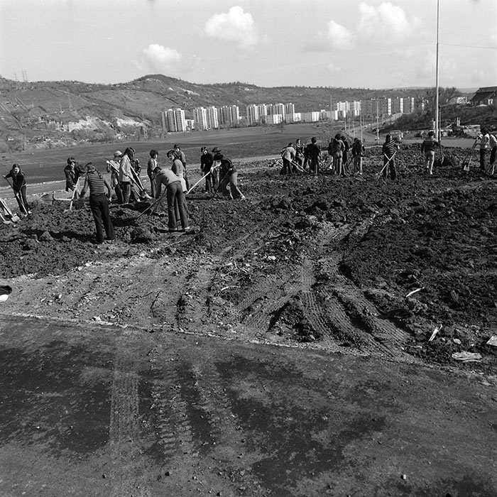 minerva_1978_c2_c5r1_006