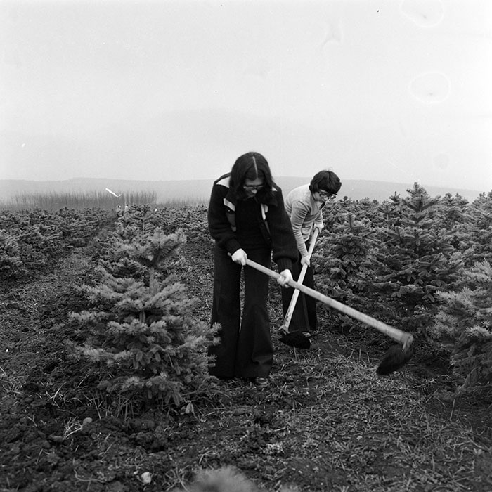 minerva_1978_c2_c5r1_008