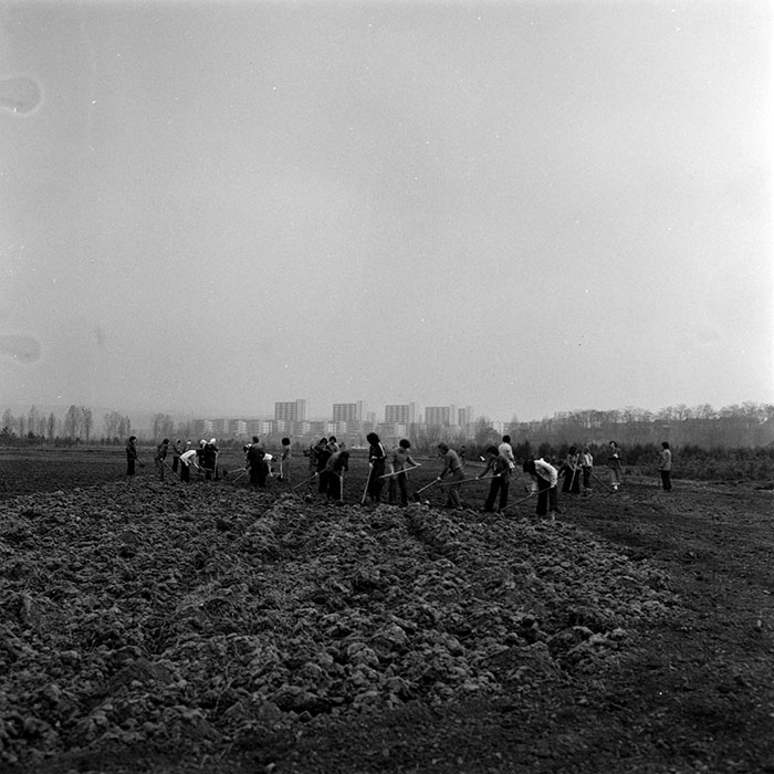 minerva_1978_c2_c5r1_011