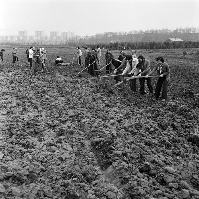 minerva_1978_c2_c5r1_012