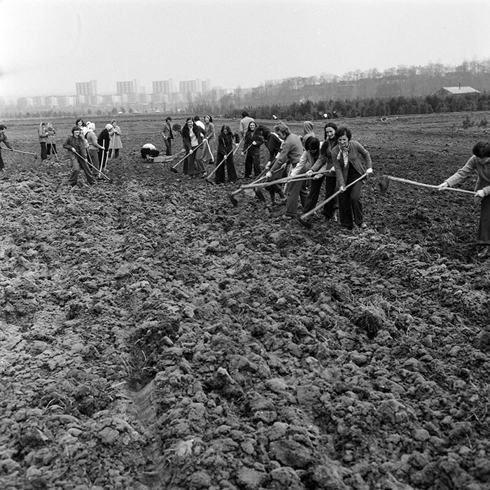 minerva_1978_c2_c5r1_013