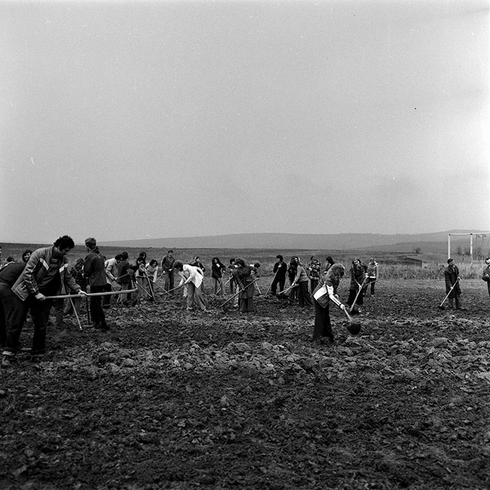 minerva_1978_c2_c5r1_014