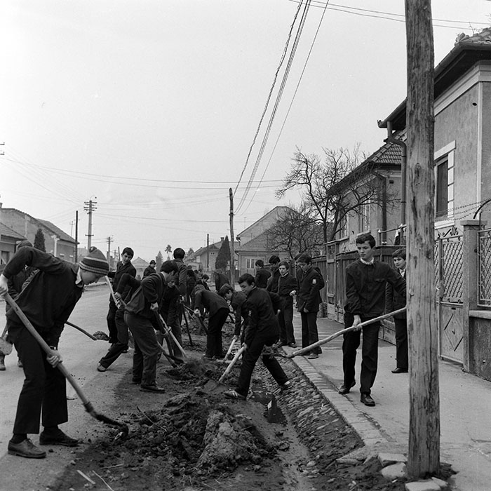 minerva_1978_c2_c5r2_001