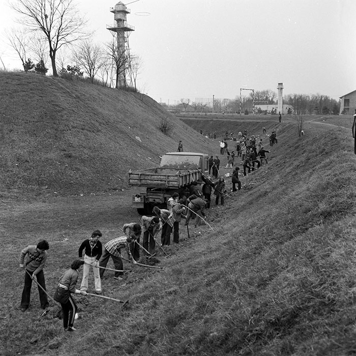 minerva_1978_c2_c5r2_005