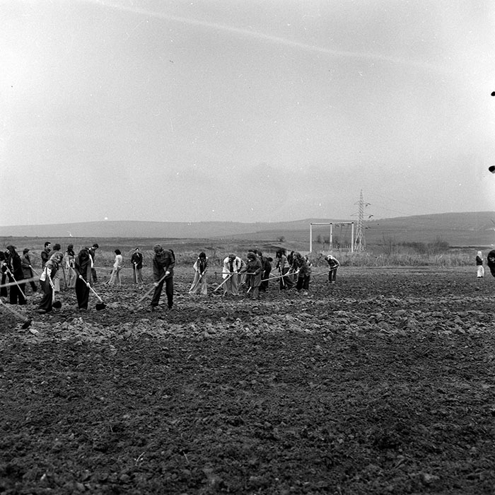 minerva_1978_c2_c5r2_013