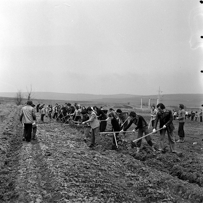 minerva_1978_c2_c5r2_015