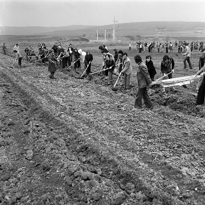 minerva_1978_c2_c5r2_016