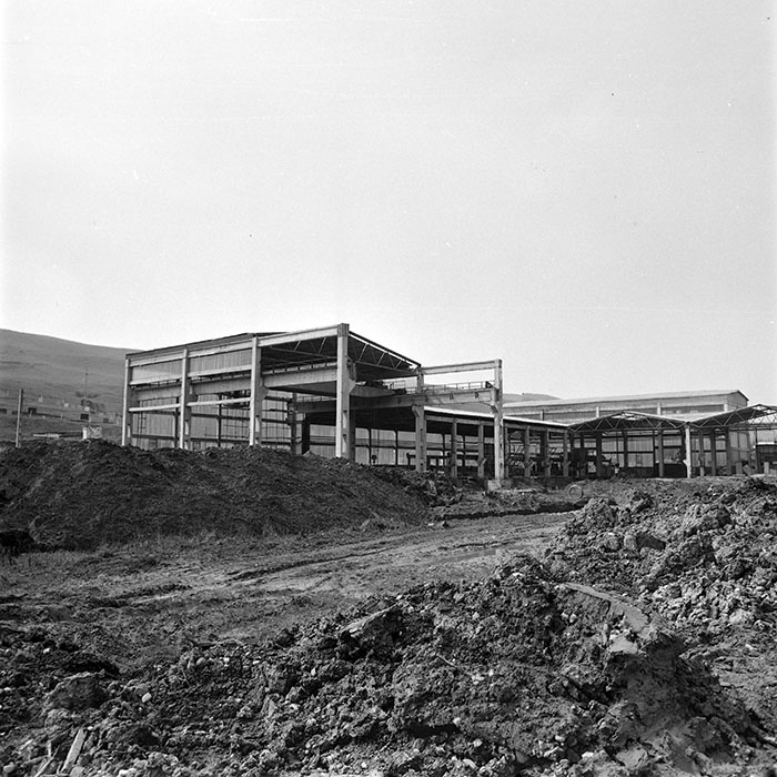 minerva_1978_c2_c6r1_006