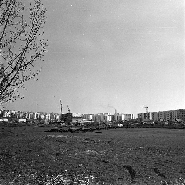 minerva_1978_c2_c6r1_008