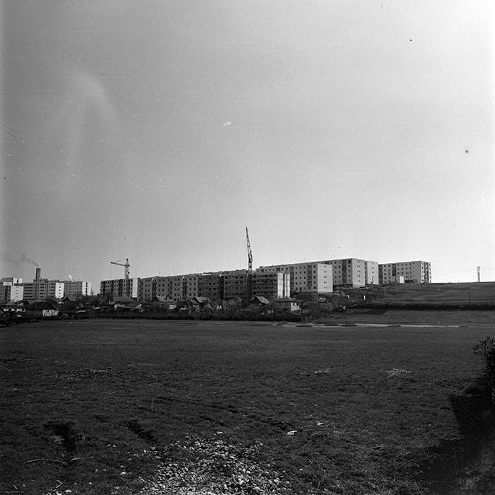 minerva_1978_c2_c6r1_009