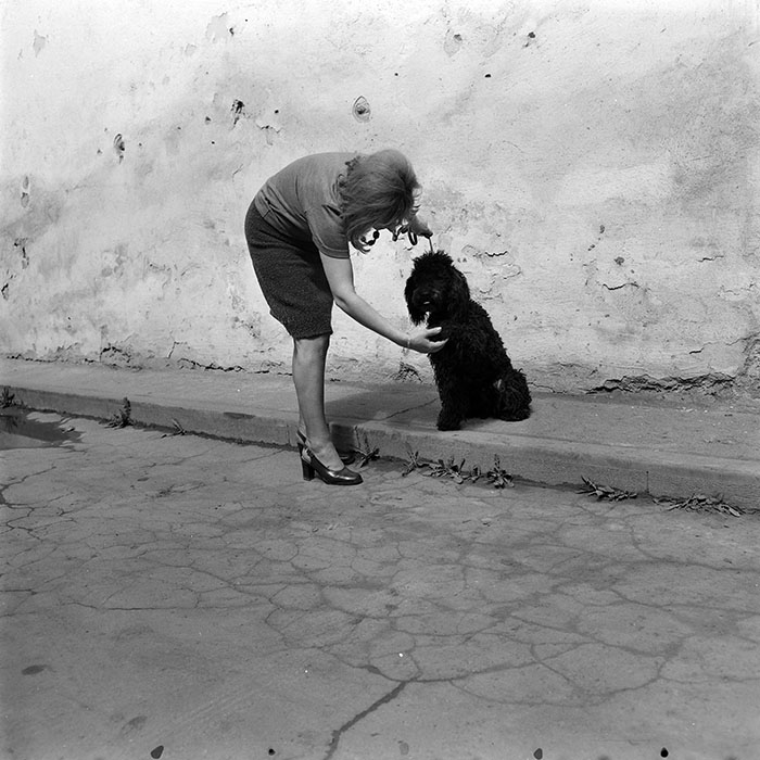 minerva_1978_c2_c6r1_011