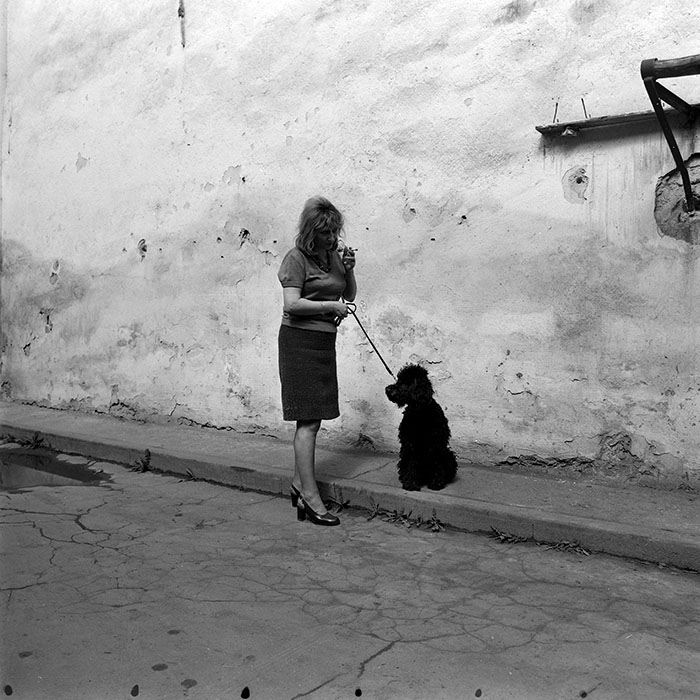 minerva_1978_c2_c6r1_012