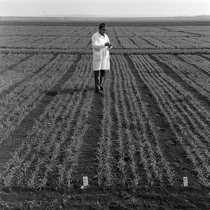 minerva_1978_c2_c6r2_011