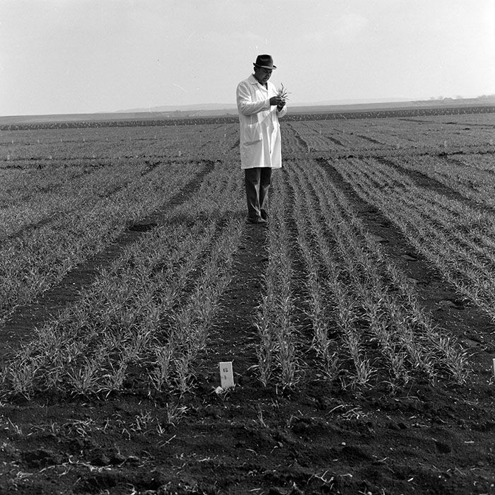 minerva_1978_c2_c6r2_012