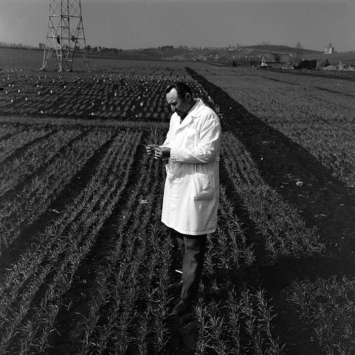 minerva_1978_c2_c6r2_013