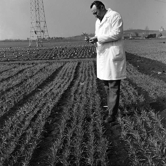 minerva_1978_c2_c6r2_014