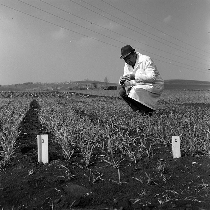 minerva_1978_c2_c6r2_016