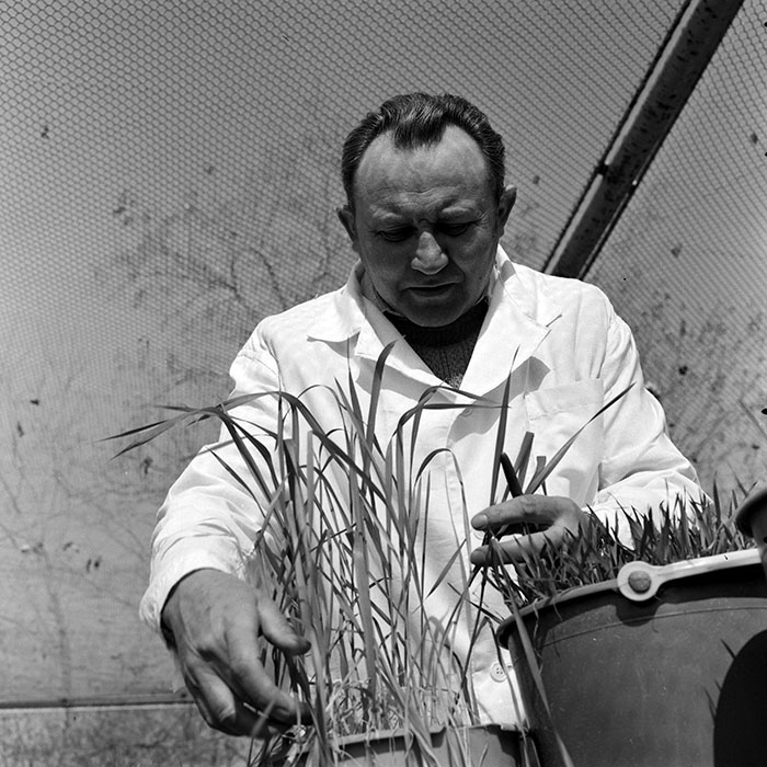 minerva_1978_c2_c6r2_017