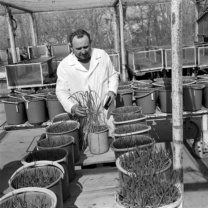 minerva_1978_c2_c6r2_019