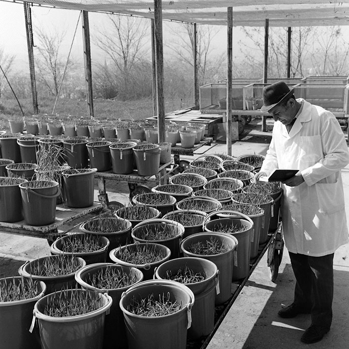 minerva_1978_c2_c6r2_021