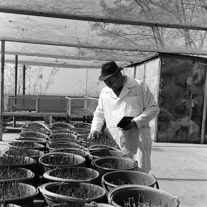 minerva_1978_c2_c6r2_022