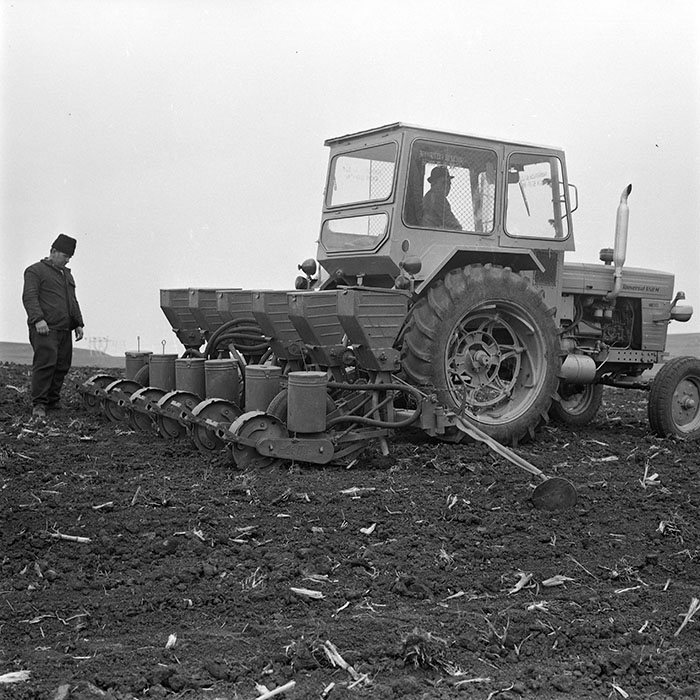 minerva_1978_c2_c6r3_001