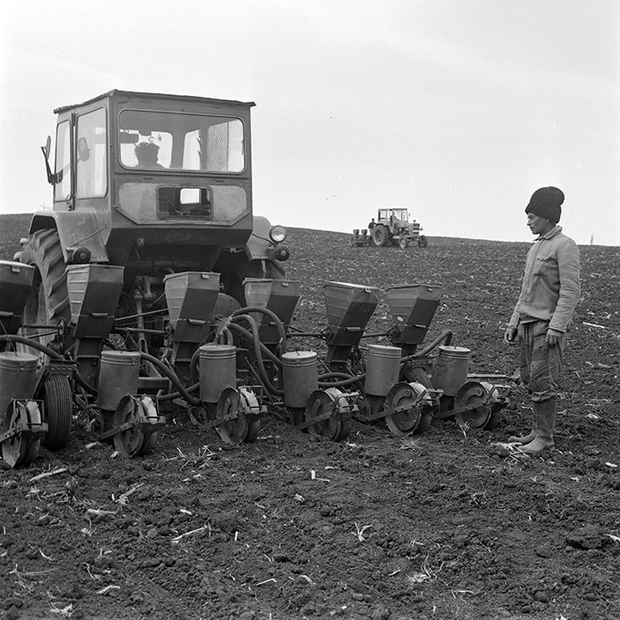 minerva_1978_c2_c6r3_002