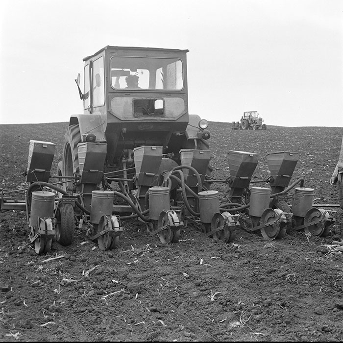 minerva_1978_c2_c6r3_003