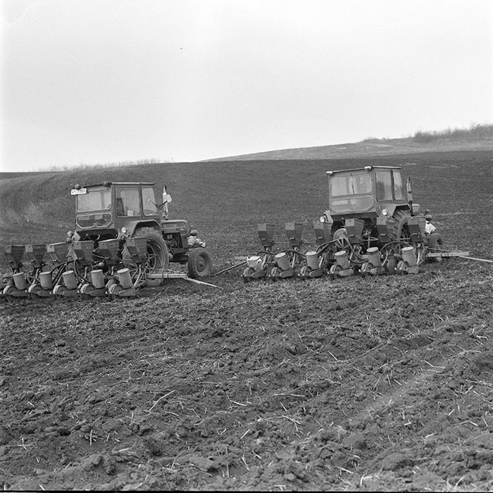 minerva_1978_c2_c6r3_006