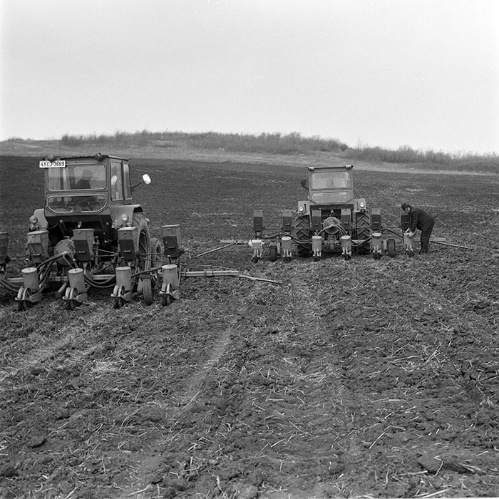 minerva_1978_c2_c6r3_007