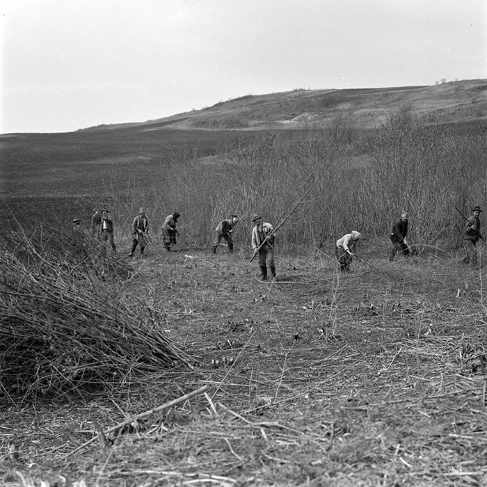 minerva_1978_c2_c6r3_009