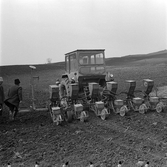 minerva_1978_c2_c6r3_010