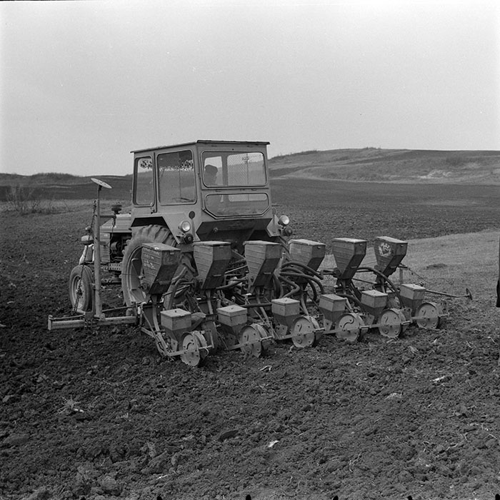 minerva_1978_c2_c6r3_011