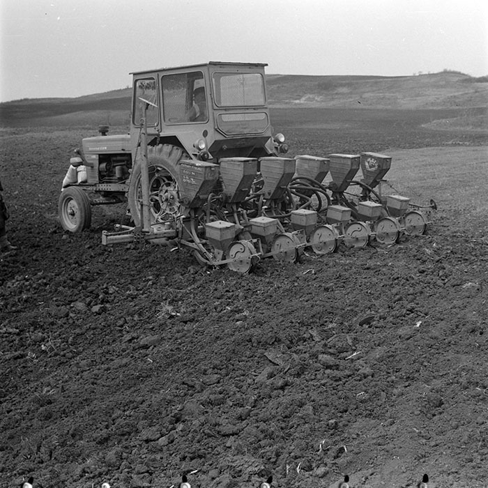 minerva_1978_c2_c6r3_012