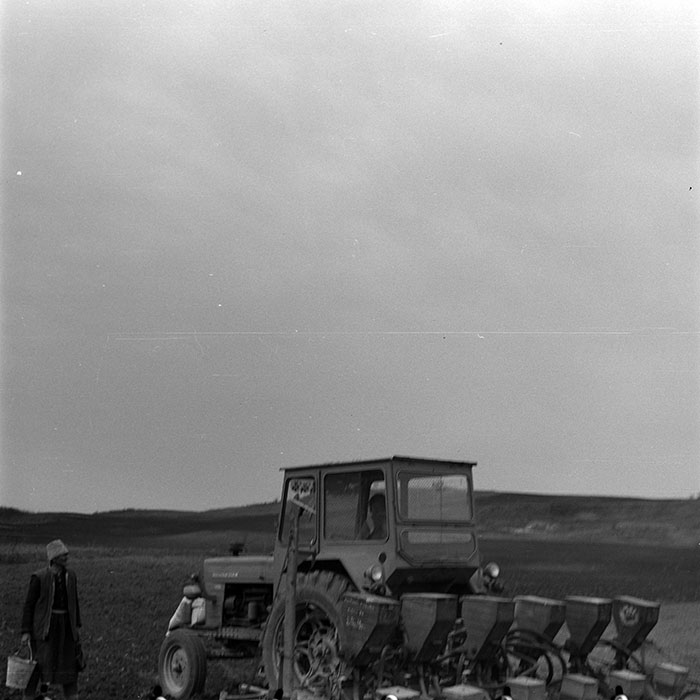 minerva_1978_c2_c6r3_013