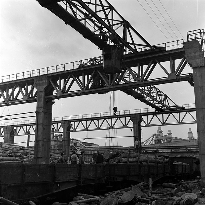 minerva_1978_c2_c6r4_005