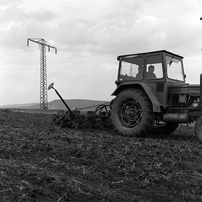 minerva_1978_c2_c6r4_014