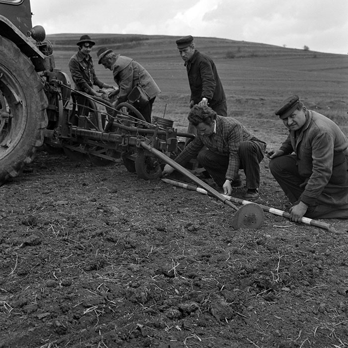 minerva_1978_c2_c6r4_015