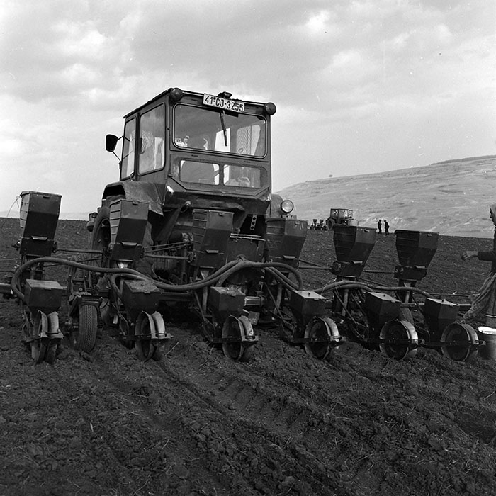 minerva_1978_c2_c6r4_021